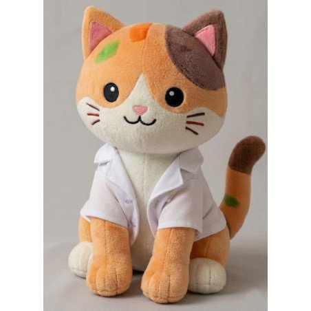 Peluches Temáticos de Doctor | Peluches Personalizados para Profesionales de la Salud