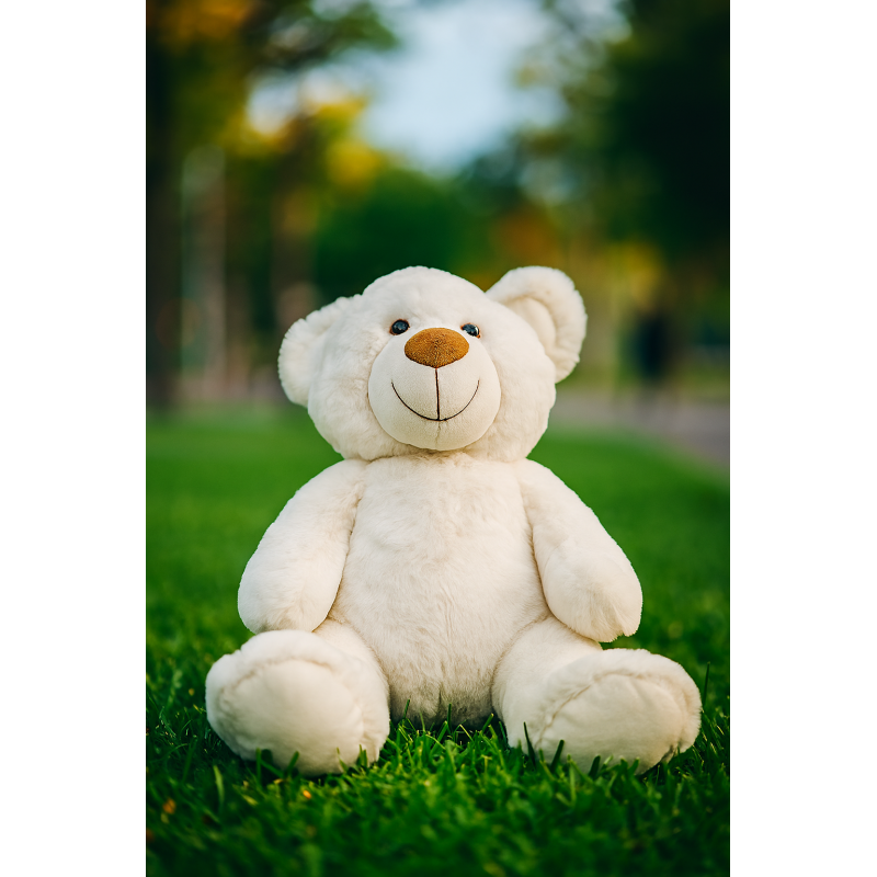 Oso de Peluche Blanco 24 cm | Clásico y Personalizado